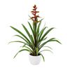 esbromelia-para-maceta-choco-marron-700795