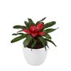 esbromelia-para-maceta-carolinae-rojo-700843