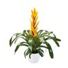 esbromelia-para-maceta-vision-amarillo-700915