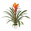 esbromelia-para-maceta-variada-naranja-700833