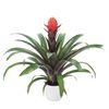 enbromelia-punta-red-700819