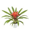 enbromelia-glow-orange-700808