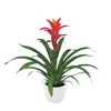 esbromelia-para-maceta-jazz-naranja-700809