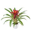 esbromelia-para-maceta-sky-rojo-700828