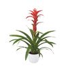 enbromelia-techno-red-700831
