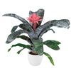 enbromelia-primera-pink-700782